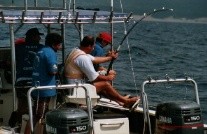 St Lucia Marlin Fishing